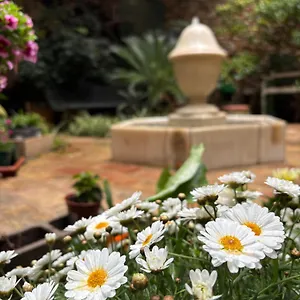 https://hotel-de-la-font-peralada.catalonia-hotels.com